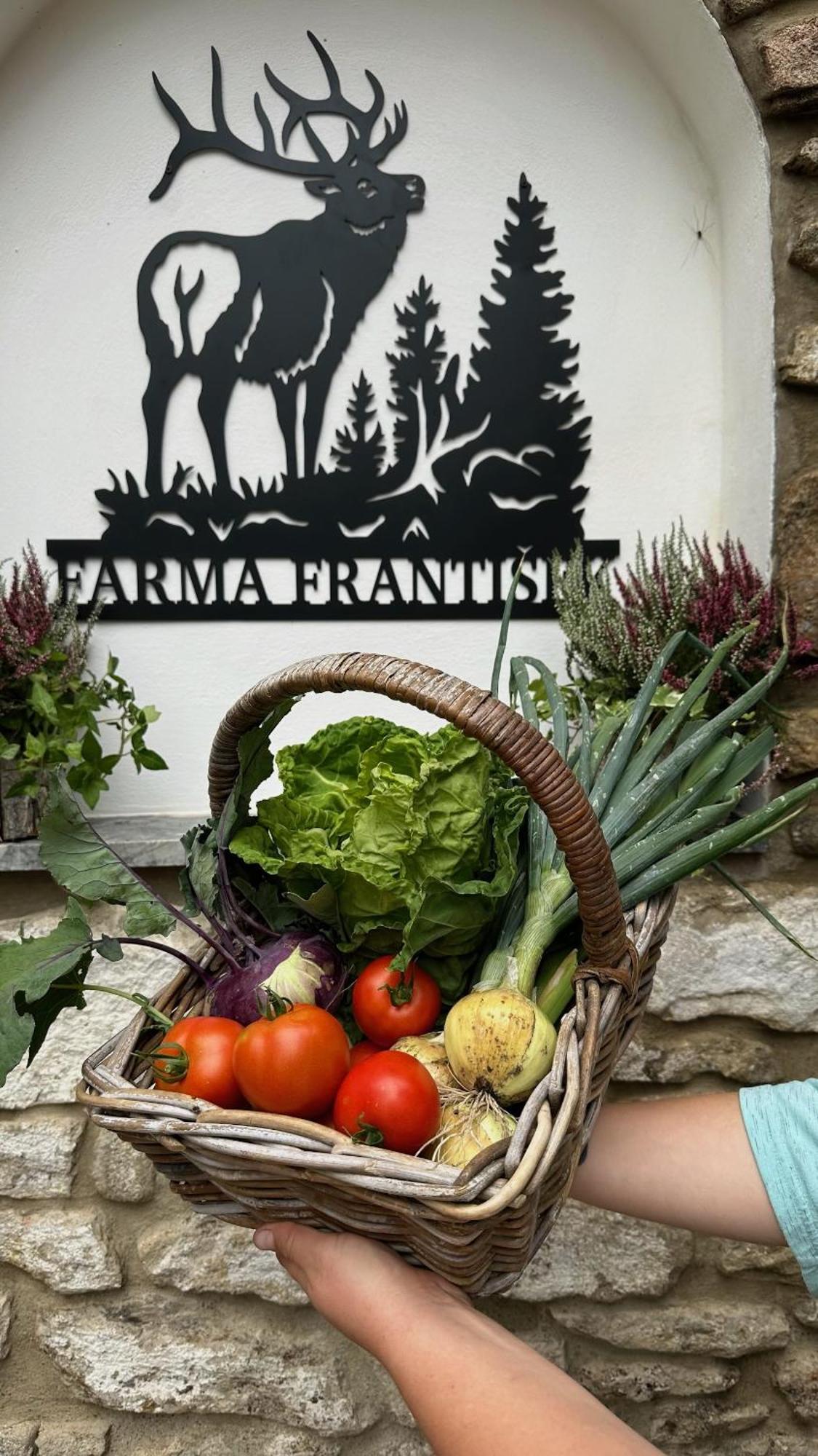 Farma Frantisek Hotel Stachy Exterior photo